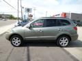 2009 Santa Fe Limited 4WD #4