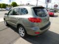 2009 Santa Fe Limited 4WD #5