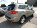 2009 Santa Fe Limited 4WD #7