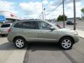 2009 Santa Fe Limited 4WD #8