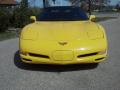 2002 Corvette Convertible #10