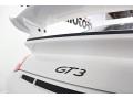 2010 911 GT3 #20