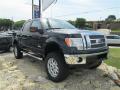 2012 F150 Lariat SuperCrew 4x4 #1