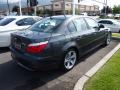 2010 5 Series 528i Sedan #9
