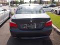 2010 5 Series 528i Sedan #10