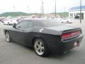 2010 Challenger R/T #11