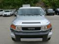 2008 FJ Cruiser 4WD #14
