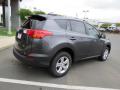 2013 RAV4 XLE #18
