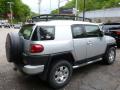 2008 FJ Cruiser 4WD #11