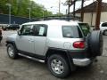 2008 FJ Cruiser 4WD #13