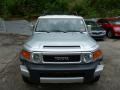 2008 FJ Cruiser 4WD #14