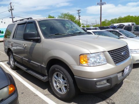 Pueblo Gold Metallic Ford Expedition XLT 4x4.  Click to enlarge.