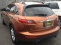2004 FX 35 AWD #6