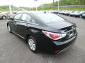 2012 Sonata Hybrid #5