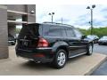 2008 GL 450 4Matic #9