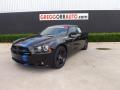 2011 Charger R/T Mopar '11 #2