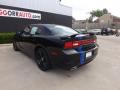 2011 Charger R/T Mopar '11 #4