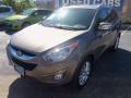 2011 Tucson Limited #2 2011 Tucson Limited #2