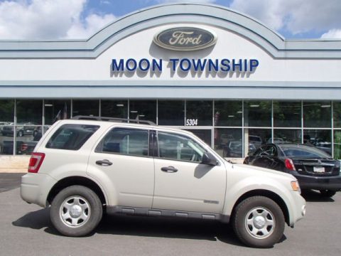 Light Sage Metallic Ford Escape XLS.  Click to enlarge.