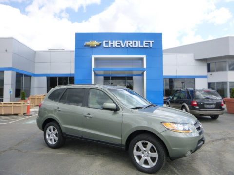 Platinum Sage Hyundai Santa Fe Limited 4WD.  Click to enlarge.