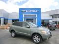 Click for details. 2008 Hyundai Santa Fe Limited 4WD