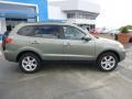 2008 Santa Fe Limited 4WD #2
