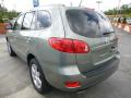 2008 Santa Fe Limited 4WD #5