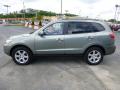2008 Santa Fe Limited 4WD #6