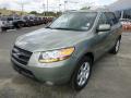 2008 Santa Fe Limited 4WD #7