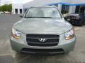 2008 Santa Fe Limited 4WD #8