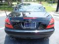 2010 SLK 300 Roadster #6