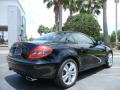 2010 SLK 300 Roadster #7