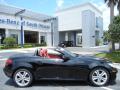 2010 SLK 300 Roadster #9
