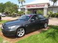 2010 5 Series 528i Sedan #2
