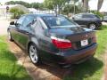 2010 5 Series 528i Sedan #3