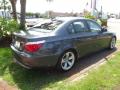 2010 5 Series 528i Sedan #5