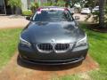 2010 5 Series 528i Sedan #8