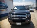 2011 Expedition Limited #2 2011 Expedition Limited #2