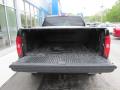 2009 Silverado 1500 LS Extended Cab 4x4 #8