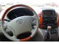 2007 Sienna XLE Limited #22 2007 Sienna XLE Limited #22
