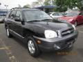2005 Santa Fe GLS #2
