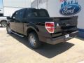 2013 F150 XL SuperCrew #4 2013 F150 XL SuperCrew #4