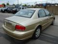 2003 Hyundai Sonata Desert Sand Metallic #3 2003 Hyundai Sonata Desert Sand Metallic #3