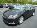 2013 ES 350 #8