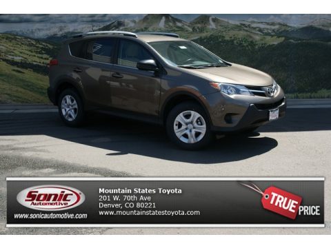 Pyrite Mica Toyota RAV4 LE AWD.  Click to enlarge.