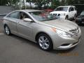 2011 Sonata GLS #2
