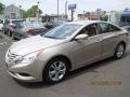 2011 Sonata GLS #3