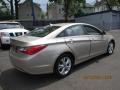 2011 Sonata GLS #5