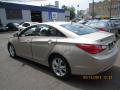 2011 Sonata GLS #6
