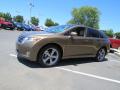 2010 Venza V6 #3 2010 Venza V6 #3